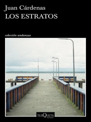 cover image of Los estratos
